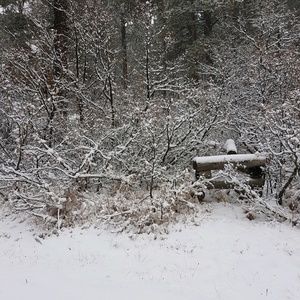 Meet your Posher, Jack